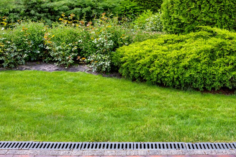 Products For Yard Drainage Solutionses in use